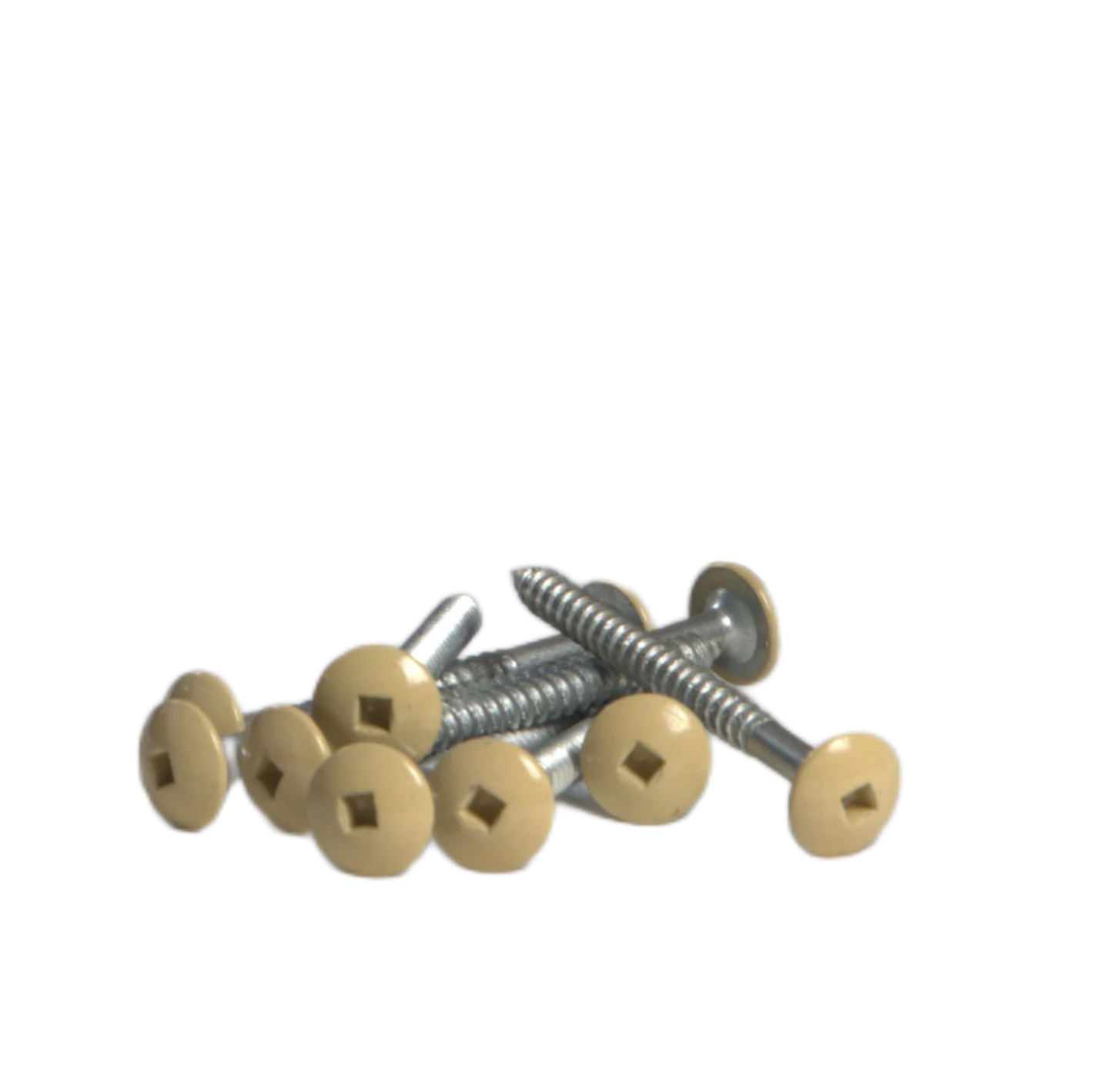 Beige Gold Fascia Screws